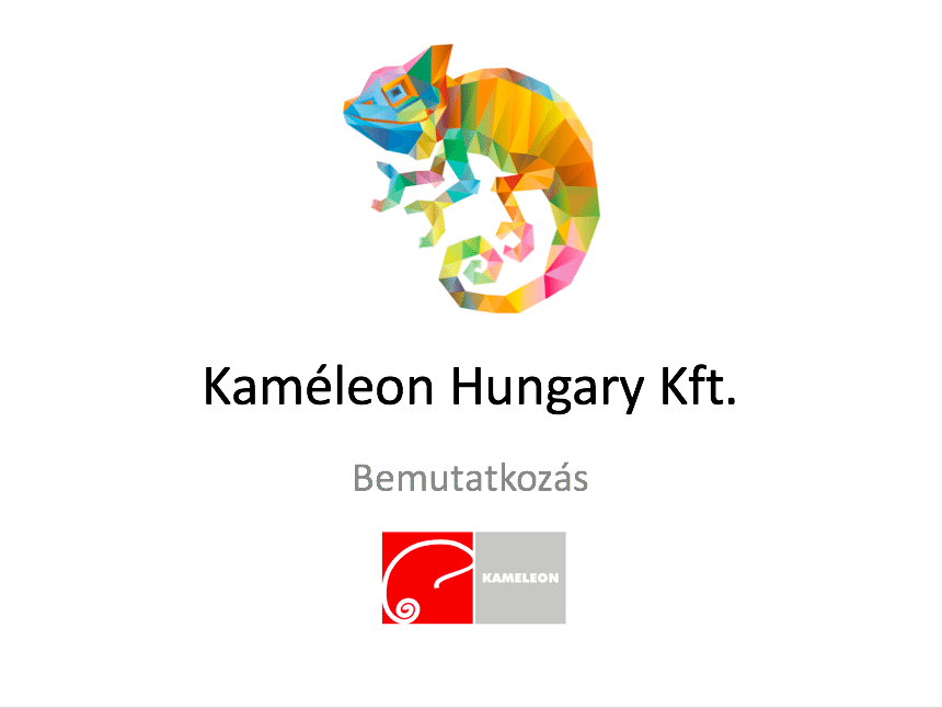 kaméleon logo